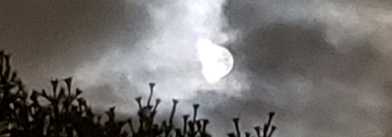 Inkitt banner for @MamaRe