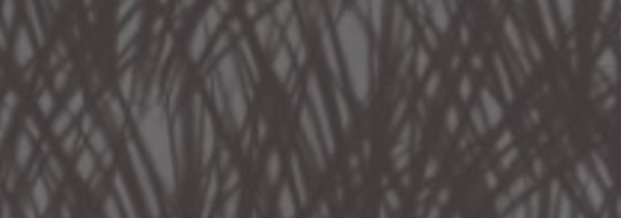 Inkitt banner for @Elimination