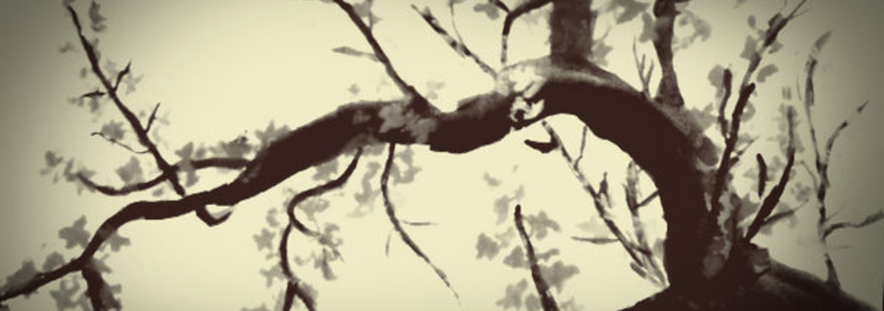 Inkitt banner for @brit
