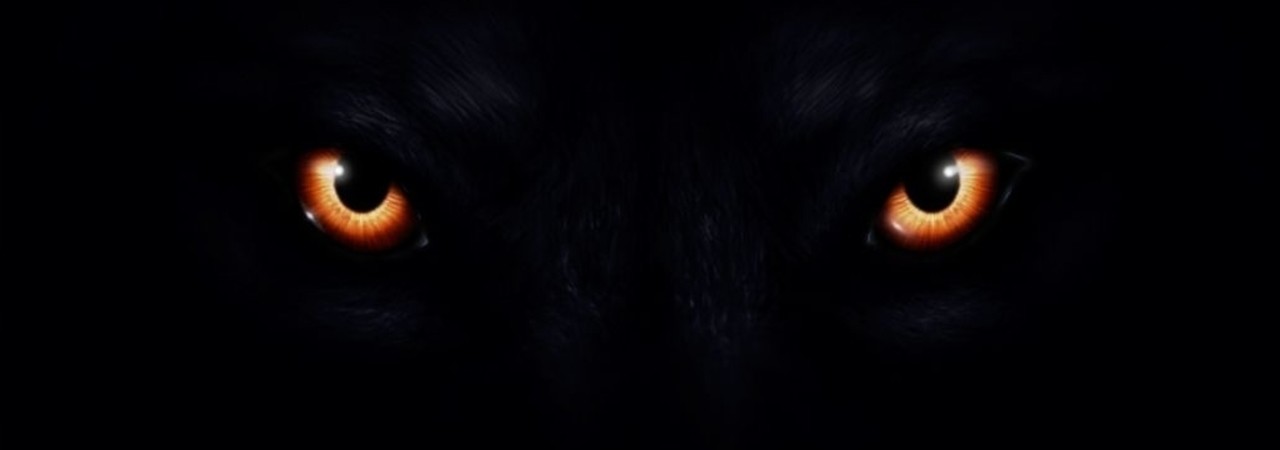 Inkitt banner for @cider