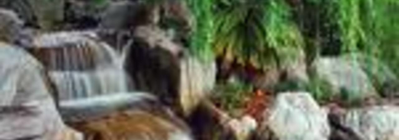 Inkitt banner for @rash