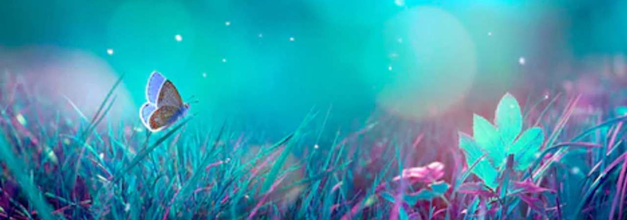 Inkitt banner for @Ricochet