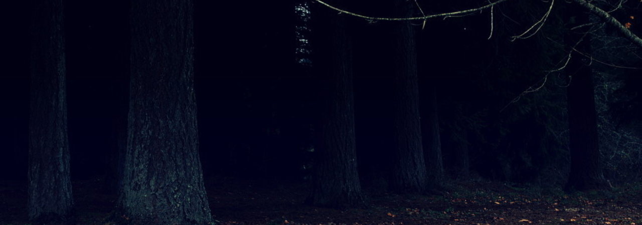 Inkitt banner for @Hood