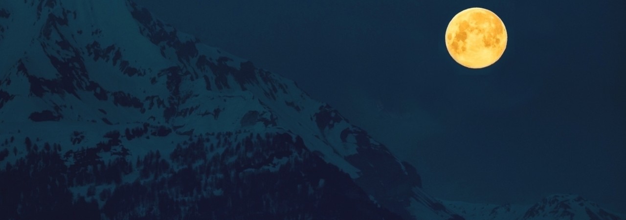 Inkitt banner for @Werewolf
