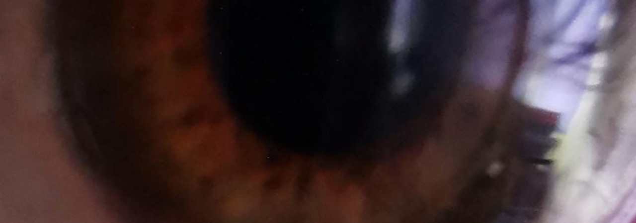 Inkitt banner for @Hideous