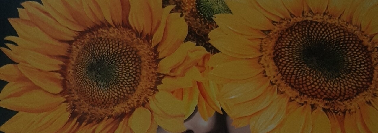 Inkitt banner for @RM7