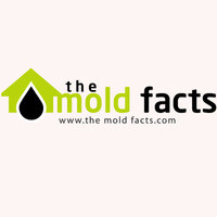 Inkitt profile picture for @mold