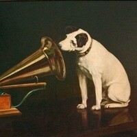 Inkitt profile picture for @Nipper