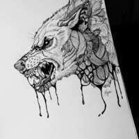 Inkitt profile picture for @Plague