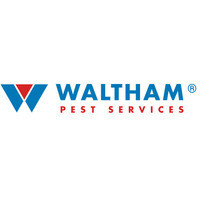Inkitt profile picture for @waltham