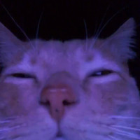 Inkitt profile picture for @irrelevant