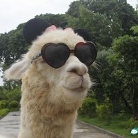 Inkitt profile picture for @toaster