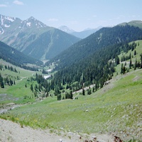 Inkitt profile picture for @Colorado