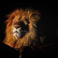 Inkitt profile picture for @Kedi