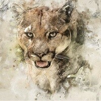 Inkitt profile picture for @Puma