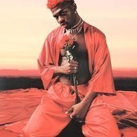 Inkitt profile picture for @Narcotics