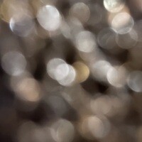 Inkitt profile picture for @sandalwood