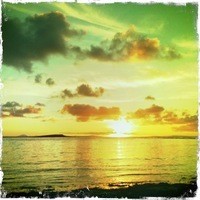 Inkitt profile picture for @island