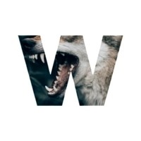 Inkitt profile picture for @Werewolf