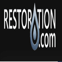 Inkitt profile picture for @restoration