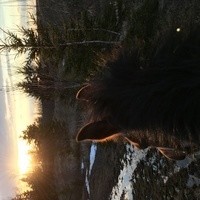 Inkitt profile picture for @Folly