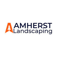 Inkitt profile picture for @amherst