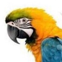 Inkitt profile picture for @Guacamayo