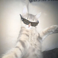 Inkitt profile picture for @Flippers