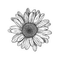 Inkitt profile picture for @PROCRASTINATE