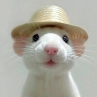 Inkitt profile picture for @Corrosion