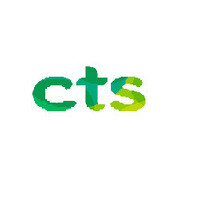 Inkitt profile picture for @CTS