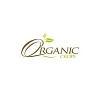 Inkitt profile picture for @Organic
