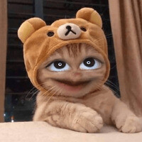 Inkitt profile picture for @perish