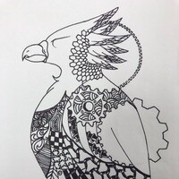 Inkitt profile picture for @Watcher