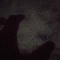 Inkitt profile picture for @Loner