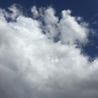 Inkitt profile picture for @minutes