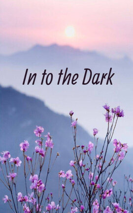 In to the Dark