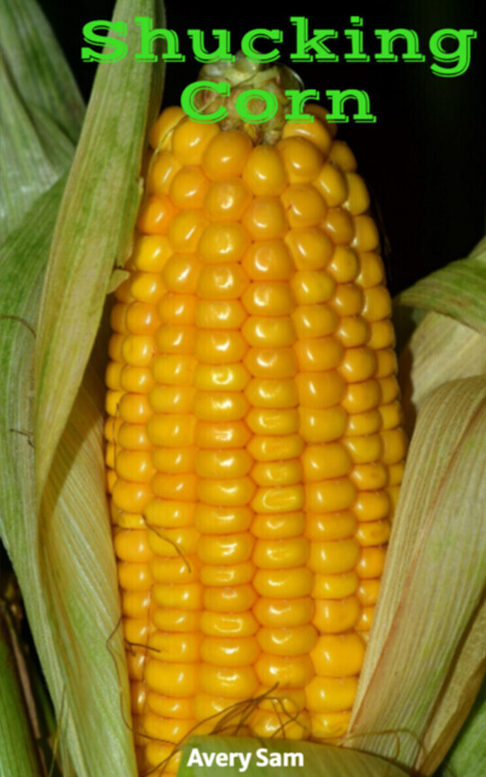Shucking Corn