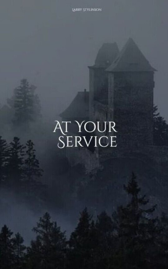 At Your Service (Libro 0.5) | Larry Stylinson