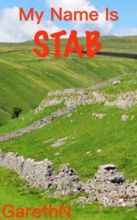 My Name Is Stab