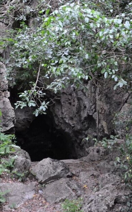 The Cave