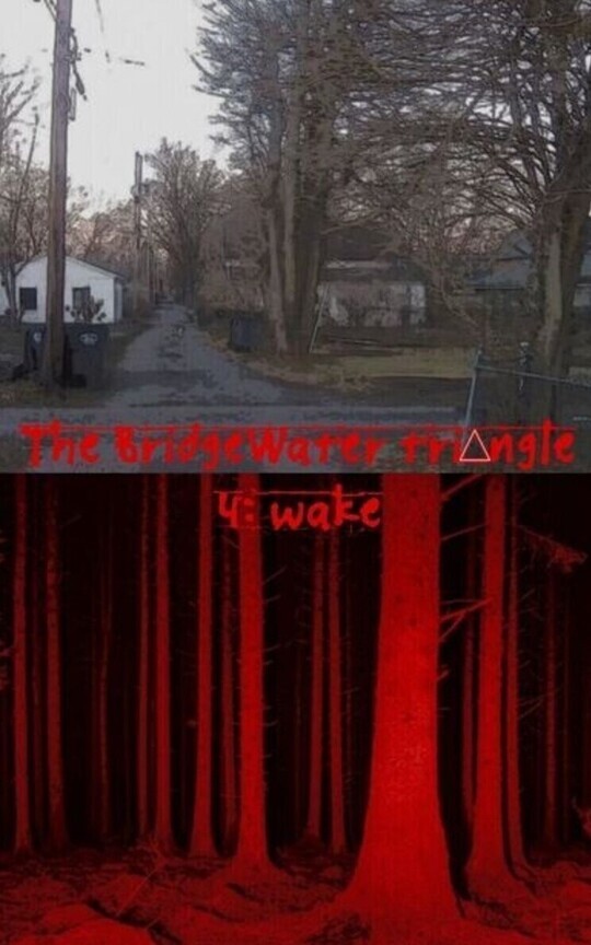 The BridgeWater triangle part 4: Wake