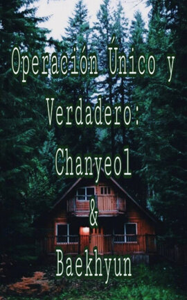 I-Operación Único y Verdadero: Chanyeol y Baekhyun.