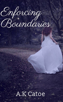 Enforcing Boundaries 