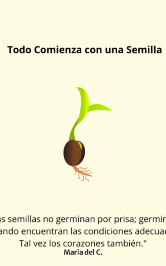 Todo Comienza con una Semilla