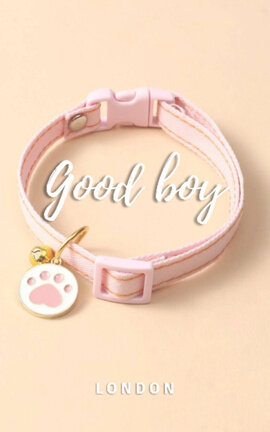 Good boy | LS
