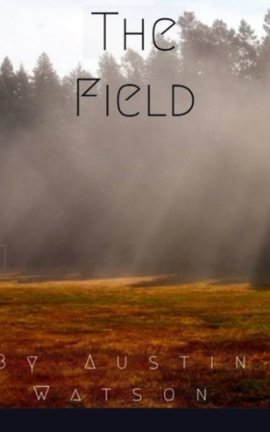 The Field 