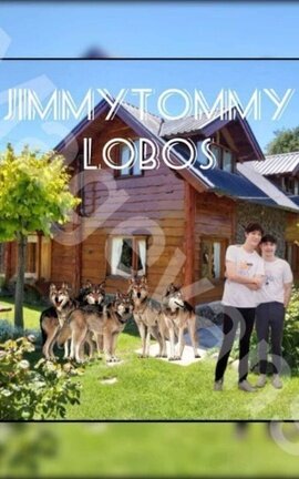 2. JimmyTommy. Lobos