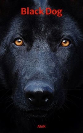 Black Dog