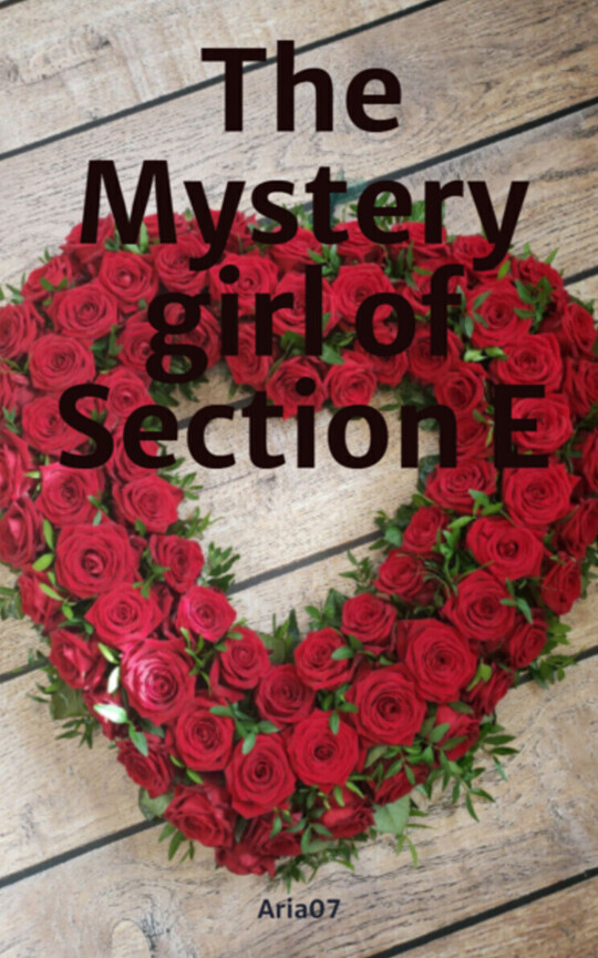 The Mystery girl of Section E